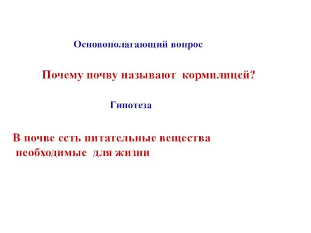 Основополагающий вопрос Почему почву называют кормилицей? Гипотеза В почве есть питательные вещества необходимые для жизни