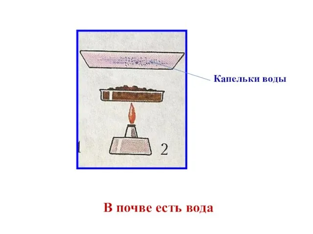 В почве есть вода Капельки воды