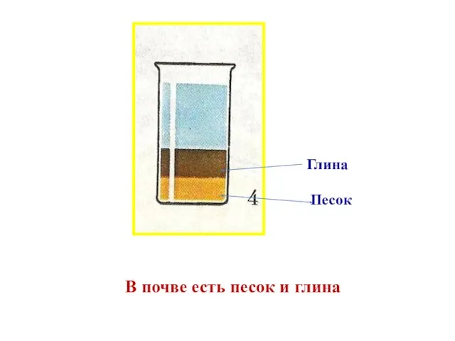 В почве есть песок и глина Глина Песок