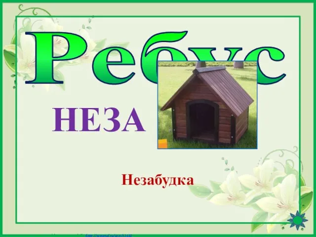 Ребус НЕЗА Незабудка