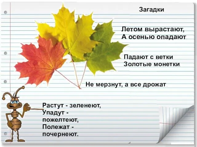 Загадки Летом вырастают, А осенью опадают. Падают с ветки Золотые монетки. Растут