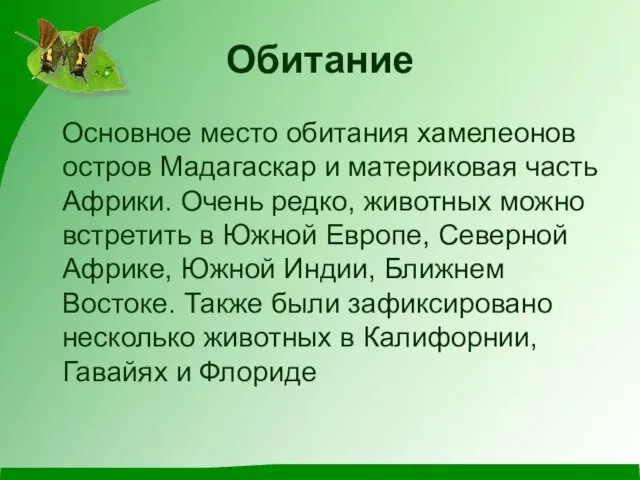 Обитание Основное место обитания хамелеонов остров Мадагаскар и материковая часть Африки. Очень