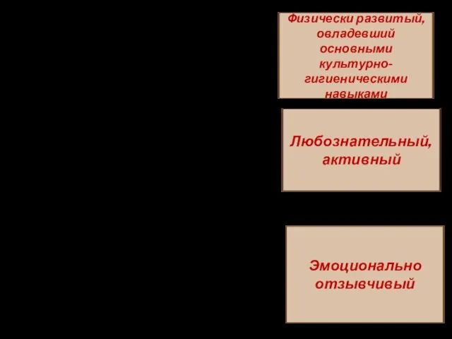 Физически развитый, овладевший основными культурно-гигиеническими навыками Любознательный, активный Эмоционально отзывчивый Самостоятельно выполняет