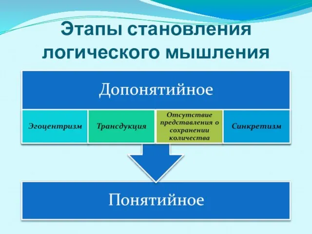 Этапы становления логического мышления