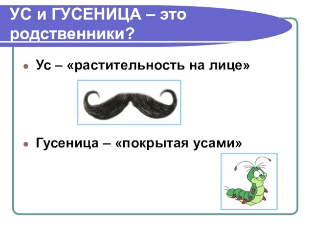 УС и ГУСЕНИЦА – это родственники? Ус – «растительность на лице» Гусеница – «покрытая усами»