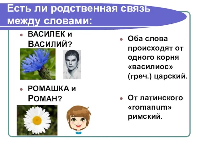 Есть ли родственная связь между словами: ВАСИЛЕК и ВАСИЛИЙ? РОМАШКА и РОМАН?