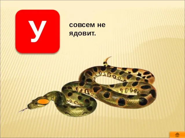 У совсем не ядовит.