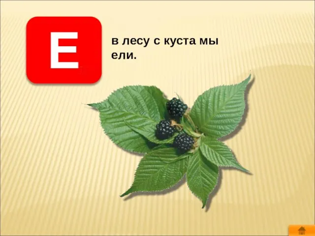 Е в лесу с куста мы ели.