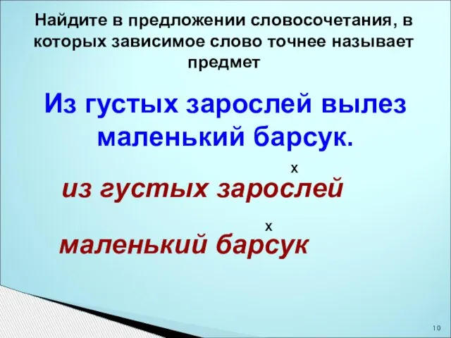 Из густых зарослей вылез маленький барсук. Найдите в предложении словосочетания, в которых