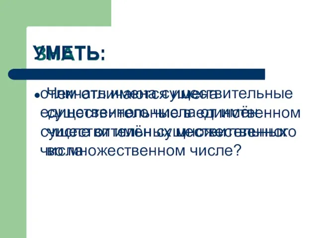 ЗНАТЬ: Чем отличаются имена существительные в единственном числе от имён существительных во