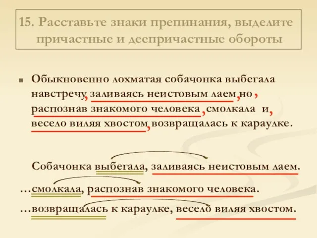 15. Расставьте знаки препинания, выделите причастные и деепричастные обороты Обыкновенно лохматая собачонка