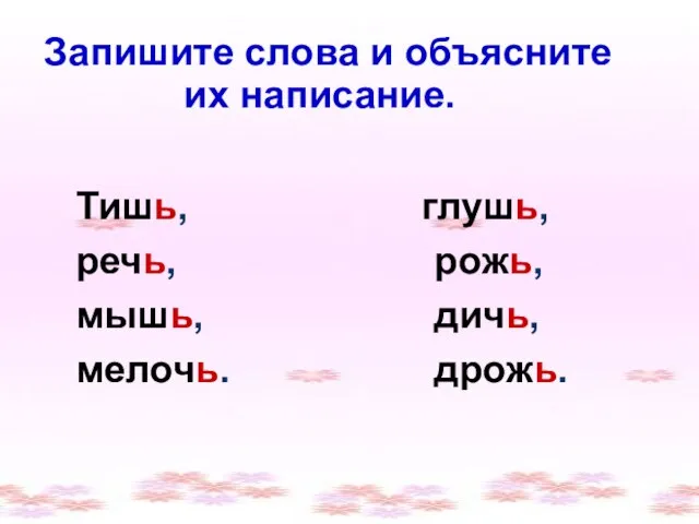 Запишите слова и объясните их написание. Тишь, речь, мышь, мелочь. глушь, рожь, дичь, дрожь.