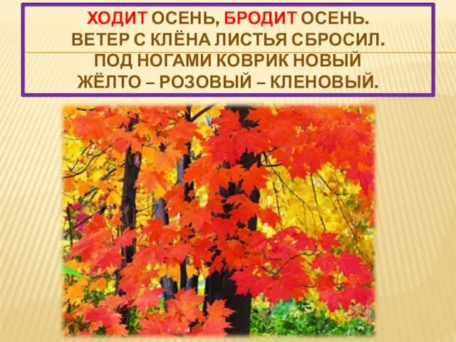 Ходит осень, бродит осень. Ветер с клёна листья сбросил. Под ногами коврик