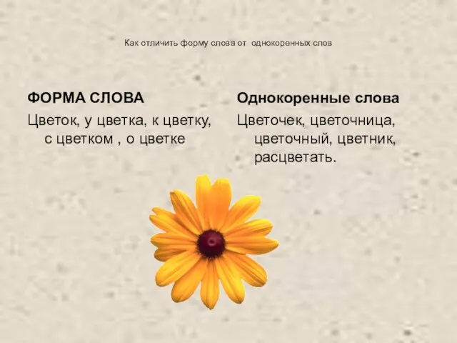 Как отличить форму слова от однокоренных слов ФОРМА СЛОВА Цветок, у цветка,