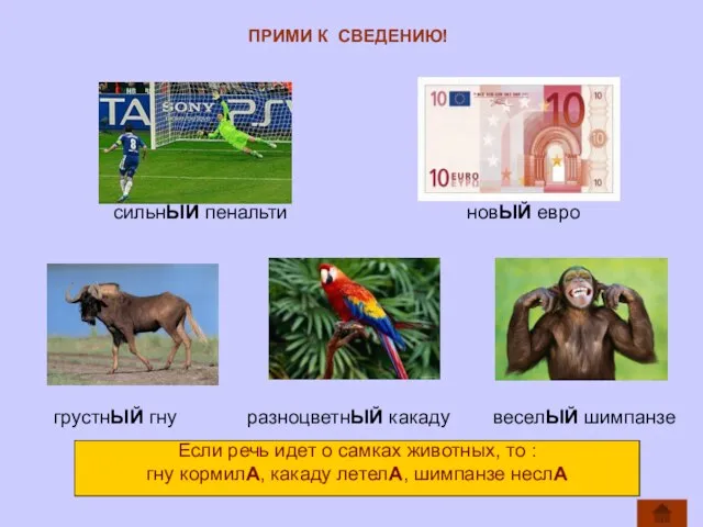 ПРИМИ К СВЕДЕНИЮ! сильнЫЙ пенальти новЫЙ евро грустнЫЙ гну разноцветнЫЙ какаду веселЫЙ