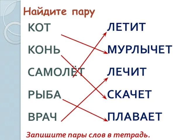 Найдите пару Запишите пары слов в тетрадь. КОТ КОНЬ САМОЛЁТ РЫБА ВРАЧ