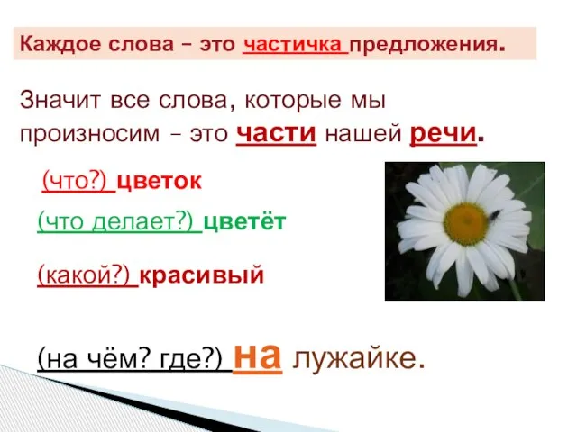 Каждое слова – это частичка предложения. Значит все слова, которые мы произносим