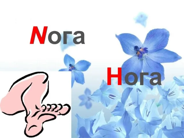 Nога N Нога Н