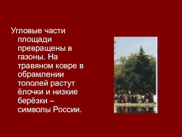 Угловые части площади превращены в газоны. На травяном ковре в обрамлении тополей