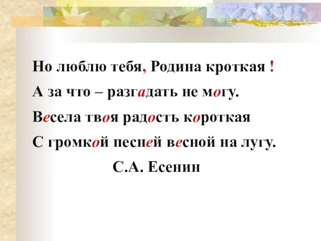 Но люблю тебя, Родина кроткая ! А за что – разгадать не