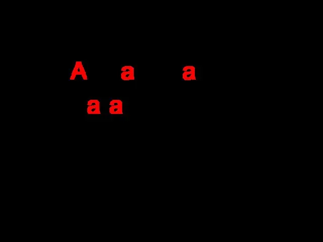 Алфавит, арбуз, магазин, звонит, звонят, позвонишь, позвонят.