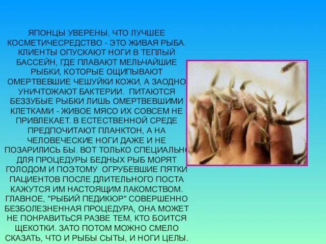 ЯПОНЦЫ УВЕРЕНЫ, ЧТО ЛУЧШЕЕ КОСМЕТИЧЕСРЕДСТВО - ЭТО ЖИВАЯ РЫБА. КЛИЕНТЫ ОПУСКАЮТ НОГИ