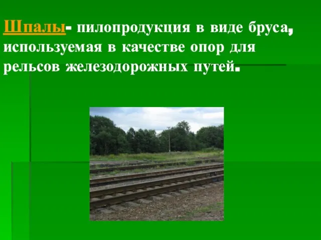 Шпалы- пилопродукция в виде бруса, используемая в качестве опор для рельсов железодорожных путей.