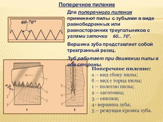 Поперечное пиление Для поперечного пиления применяют пилы с зубьями в виде равнобедренных