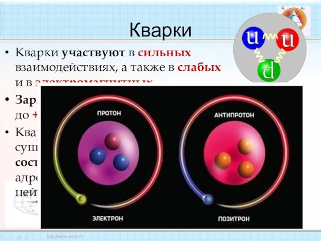 Кварки Кварки участвуют в сильных взаимодействиях, а также в слабых и в