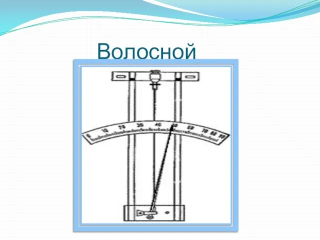 Волосной