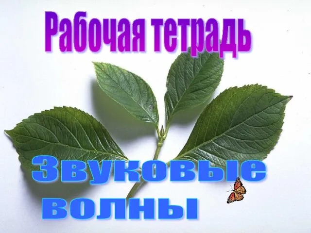 Презентация на тему Звуковые волны