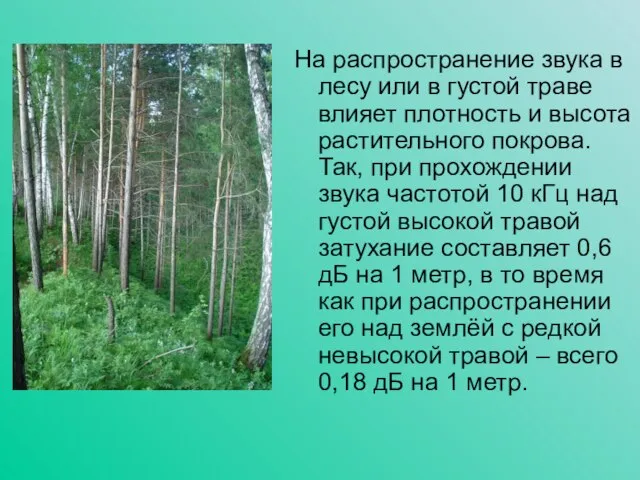 На распространение звука в лесу или в густой траве влияет плотность и