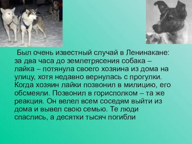 Был очень известный случай в Ленинакане: за два часа до землетрясения собака