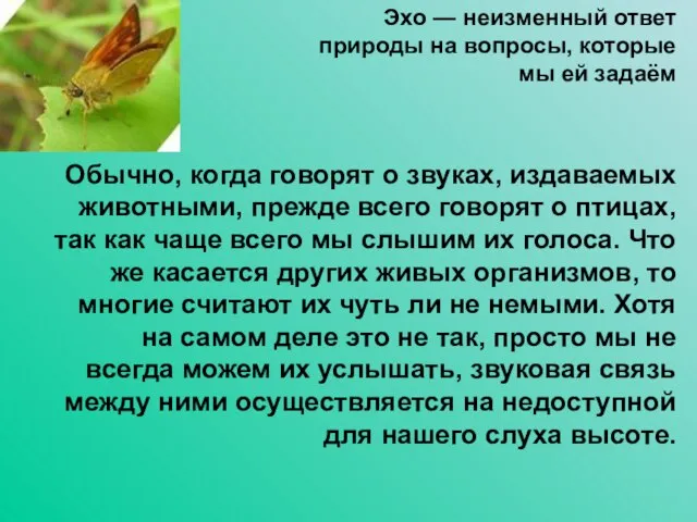 Эхо — неизменный ответ природы на вопросы, которые мы ей задаём Обычно,