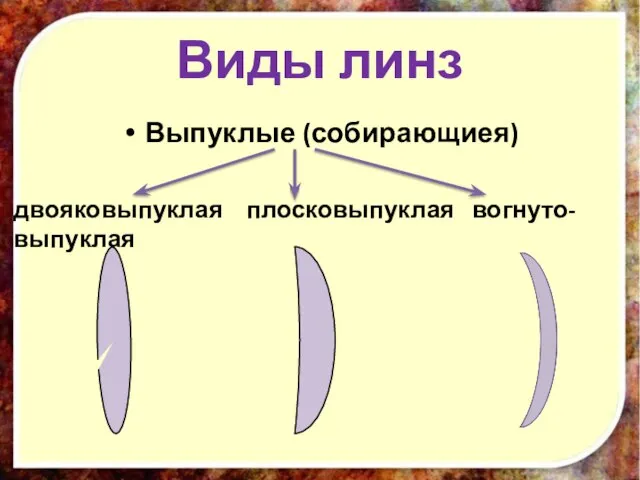 Виды линз Выпуклые (собирающиея) двояковыпуклая плосковыпуклая вогнуто-выпуклая