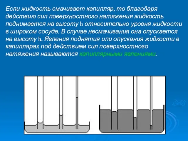 Если жидкость смачивает капилляр, то благодаря действию сил поверхностного натяжения жидкость поднимается