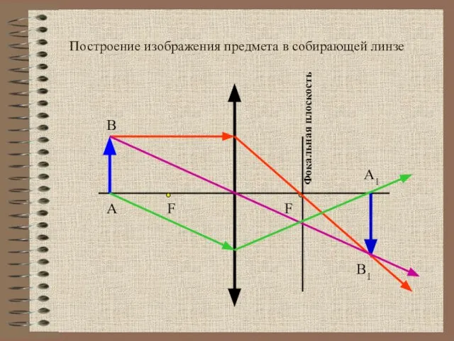А1 А В Фокальная плоскость В1 F F Построение изображения предмета в собирающей линзе