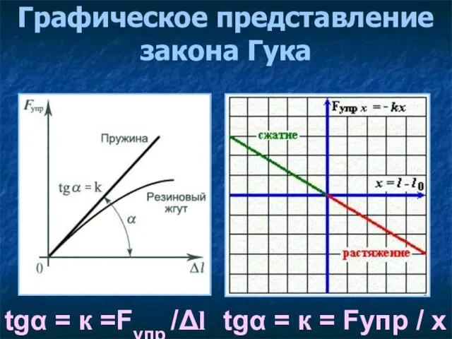 Графическое представление закона Гука tgα = к =Fупр /Δl tgα = к = Fупр / х