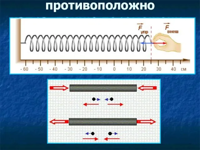 Направление силы упругости: противоположно направлению перемещения частиц при деформации