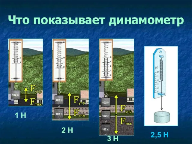 Что показывает динамометр 1 Н 2 Н 3 Н 2,5 Н