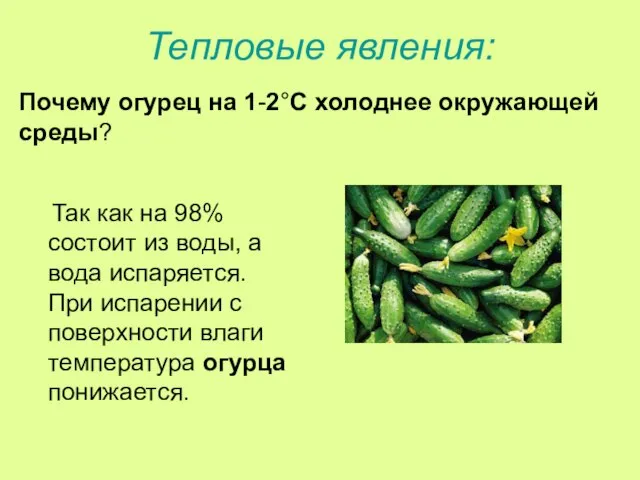 Тепловые явления: Так как на 98% состоит из воды, а вода испаряется.