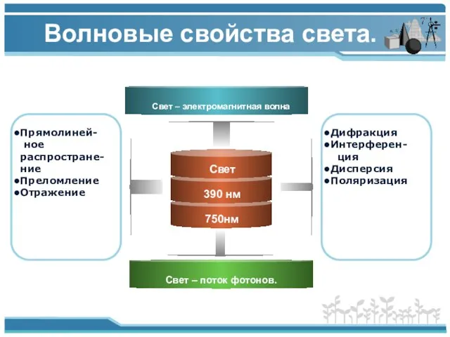 Волновые свойства света.