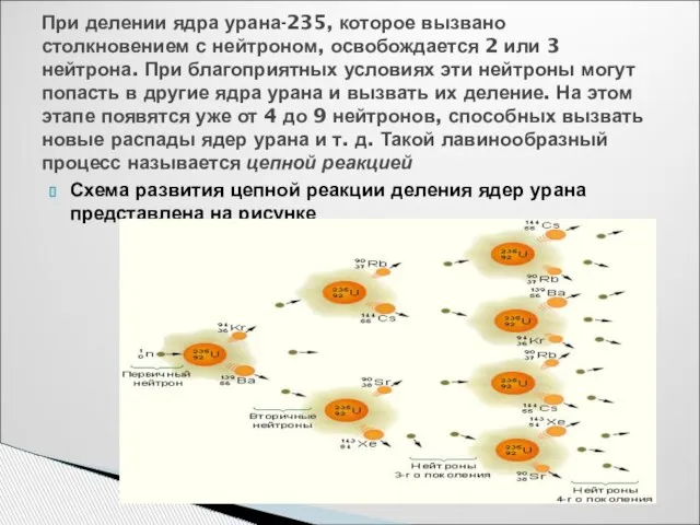 Схема развития цепной реакции деления ядер урана представлена на рисунке При делении