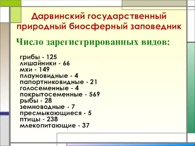 Дарвинский государственный природный биосферный заповедник Число зарегистрированных видов: грибы - 125 лишайники