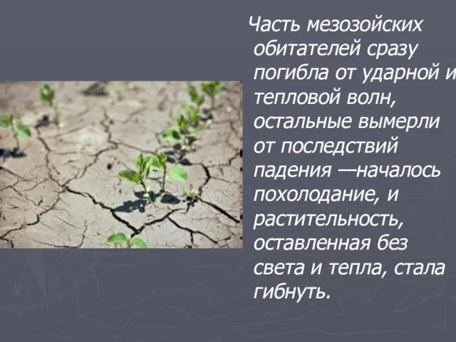 Часть мезозойских обитателей сразу погибла от ударной и тепловой волн, остальные вымерли