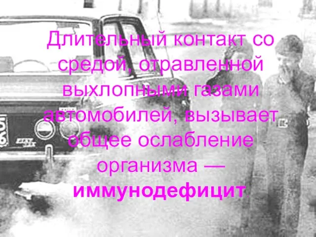 Длительный контакт со средой, отравленной выхлопными газами автомобилей, вызывает общее ослабление организма — иммунодефицит.