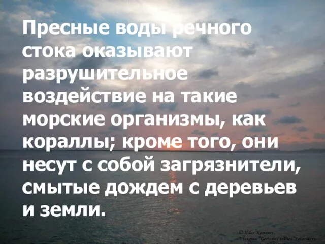 Пресные воды речного стока оказывают разрушительное воздействие на такие морские организмы, как