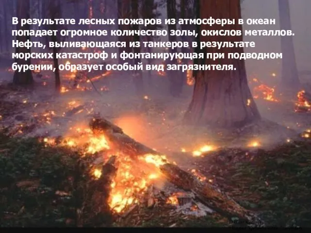 В результате лесных пожаров из атмосферы в океан попадает огромное количество золы,