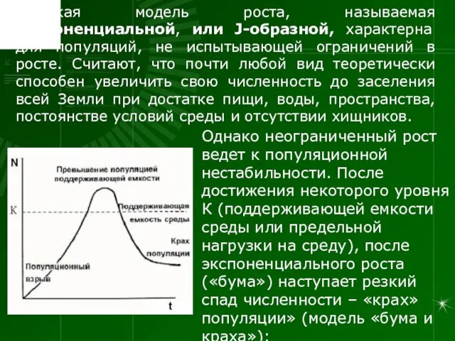 Такая модель роста, называемая экспоненциальной, или J-образной, характерна для популяций, не испытывающей