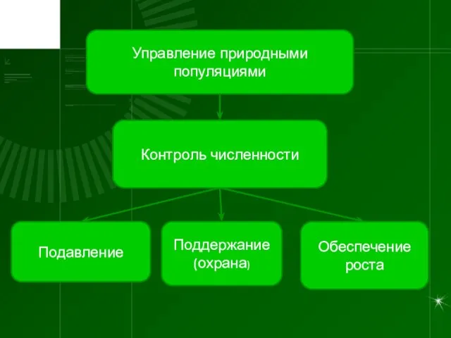 Управление природными популяциями Контроль численности Подавление Поддержание (охрана) Обеспечение роста